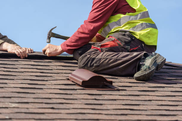 Best Roof Waterproofing Services  in Allison, IA