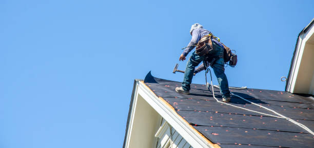 Best Storm Damage Roof Repair  in Allison, IA
